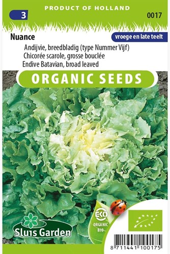 Andijvie Breedblad Nuance EKO - Cichorium endivia-2