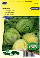 IJsbergsla Barcelona - Lactuca sativa-2