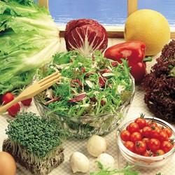 Schnittsalat Gemischte Gastronome