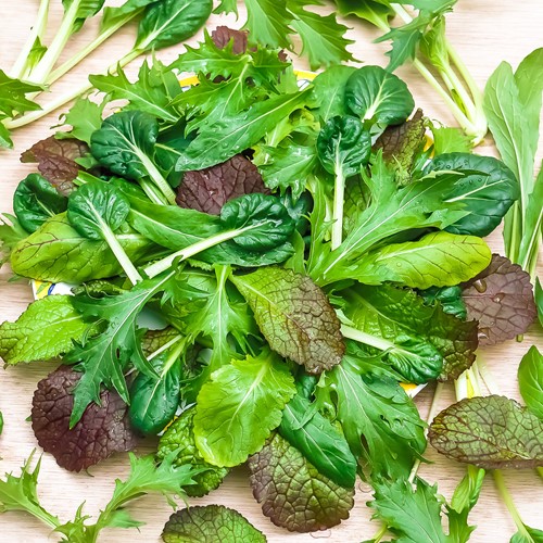 Asiatische Salat Mischung