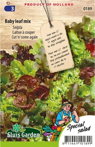 Salat Babyleaf Mischung-2