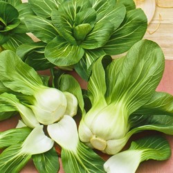 Paksoi Green Fortune F1