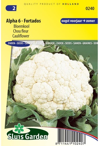 Bloemkool Alpha 6 Fortados - Brassica oleracea-2