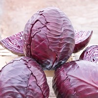 Rodekool Langedijker Bewaar 2