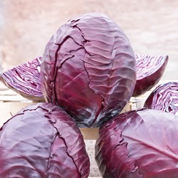 Rodekool Langedijker Bewaar 2