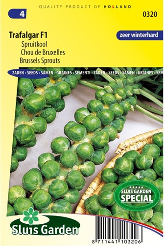 Rosenkohl Trafalgar F1-2