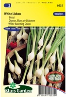 Ui White Lisbon-2