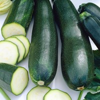 Zucchini Black Beauty EKO