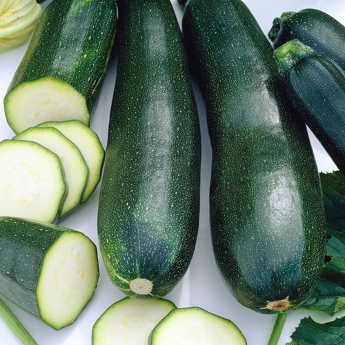 Zucchini Black Beauty EKO