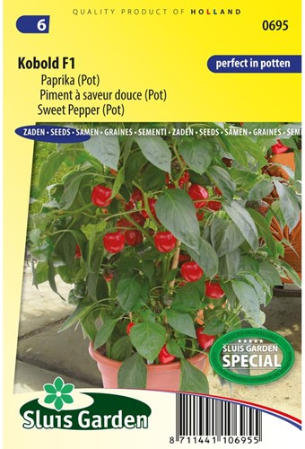 Paprika Kobold F1 PATIO-2
