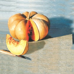 Kürbis (Gourmetkürbis) EKO