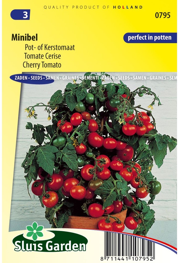 Tomate Minibel kaufen? Einfach online bestellen  Gartencenter Koeman
