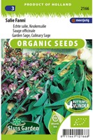Salbei Salvia Officinalis Fanni Eko-2