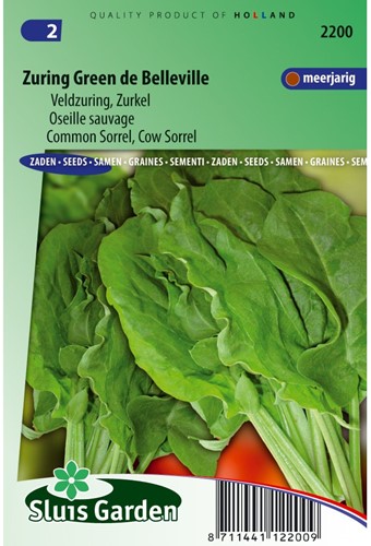 Zuring Green de Belleville - Rumex acetosa-2