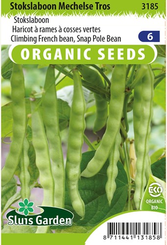 Stangenbohne Mechelse Tros BIO - Phaseolus vulgaris
