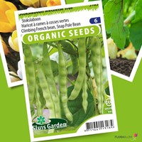 Stangenbohne Mechelse Tros BIO - Phaseolus vulgaris-2