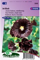 Stockrose Jet Black, einzelblumig-2