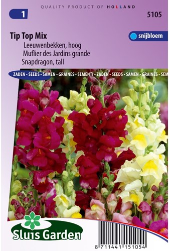 Löwenmaul Tip Top Mix, hoch gemischt-2
