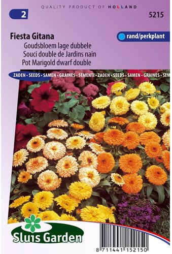 Ringelblume Fiesta Gitana gemischt - Calendula-2