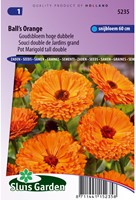 Ringelblume Ball's Orange - Calendula-2