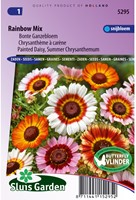 Bunte Gänseblümchen-2
