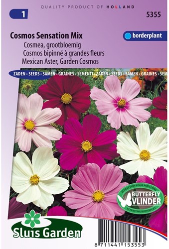 Cosmos Sensation Mixed (Aster)-2