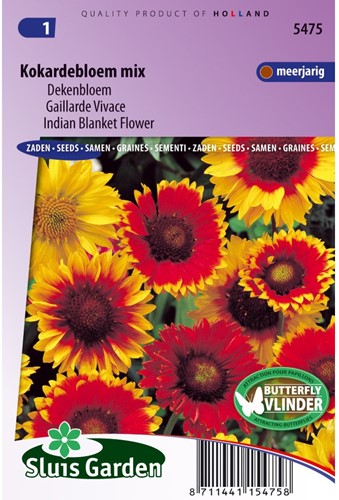 Kokardenblume mix (Gaillardia)-2