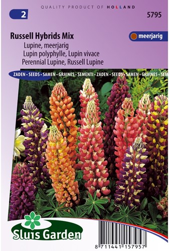 Lupinus Russell Hybrids Mix - Lupinus-2