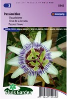 Passionsblume Passion Blue - Passiflora-2