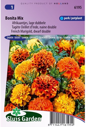 Samtblume Bonita Mix - Tagetes-2