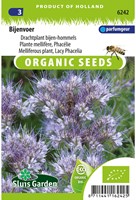 Bienentrachtpflanze Lacy Phacelia EKO-2