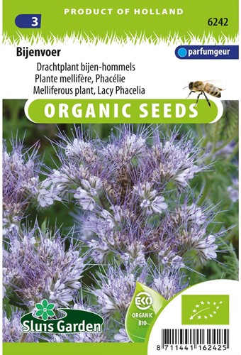 Bienentrachtpflanze Lacy Phacelia EKO-2