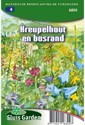 Für sonnige Gebüsche und Waldränder – Heimische Wildblumenmischung