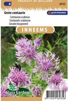 Skabiosen Flockenblume - Centaurea scabiosa-2