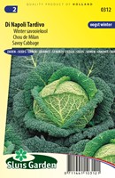 Winter Wirsing Di Napoli Tardivo kaufen? Einfach online bestellen