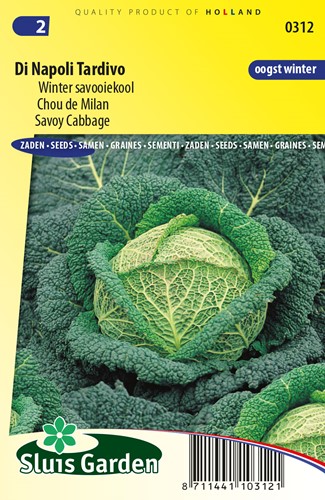 Winter Wirsing Di Napoli Tardivo