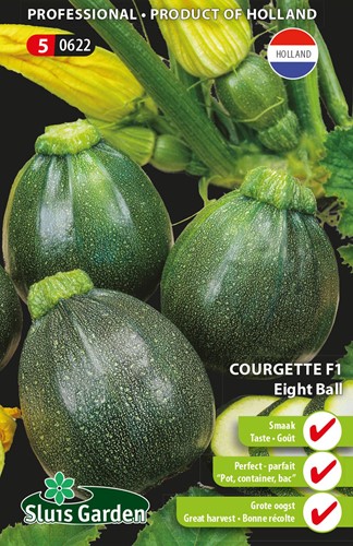 Zucchini Eight Ball F1