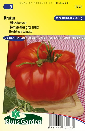 Fleischtomate Brutus - Lycopersicon