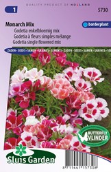 Godetie Monarch Mischung - Clarkia amoena