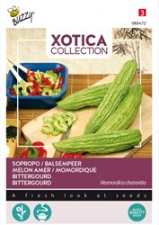 Bittergourd / Bittermelone - Xotica Collection
