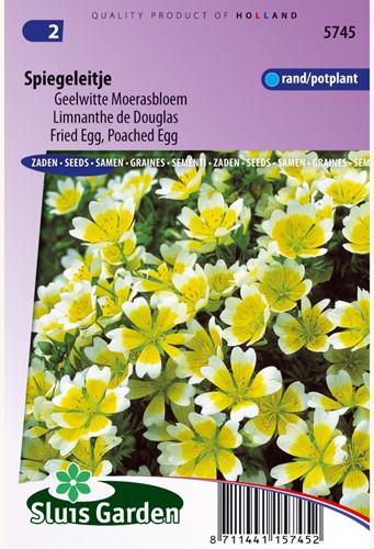 Spiegelei, gelbweiße Sumpfblume