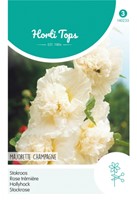 Stokroos Majorette Champagne - Alcea rosea Hortitops