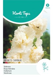 Stockmalve Majorette Champagne - Hortitops