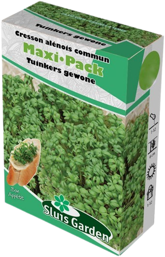 Streuschachtel Gartenkresse-Samen normal - Maxi Pack Sluis Garden