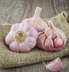 Knoflook Roze