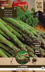 Spargel Pflanzen kaufen? Online Top Qualität pflanzen und