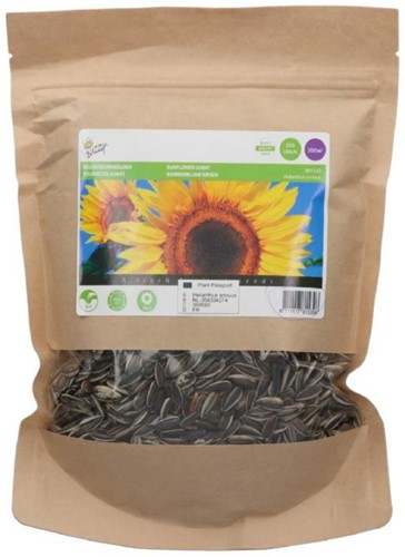 Zonnebloemen, hoge gele (grootverpakking) 250 gr.