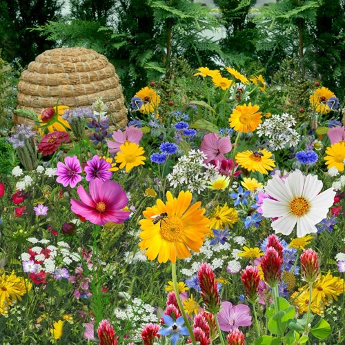 Tübinger Mischung fur Bienen EKO / 500m²