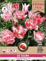 Tulpen Pink Romance Mix