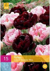 Tulpen Sweet Desire Mischung - Tulipa